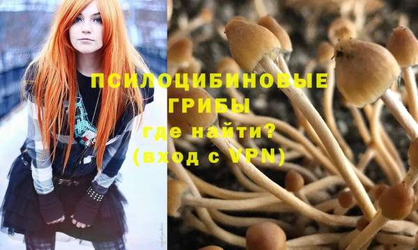 a pvp Алексин