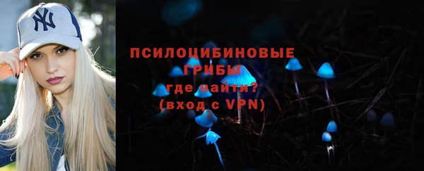 ПСИЛОЦИБИНОВЫЕ ГРИБЫ Абдулино