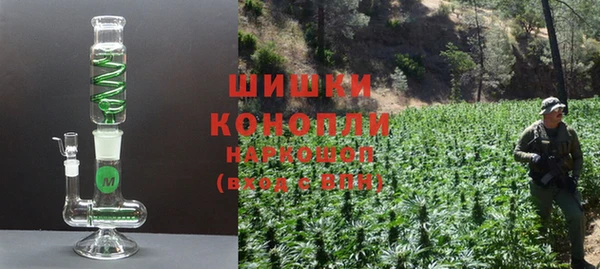 ГАЛЛЮЦИНОГЕННЫЕ ГРИБЫ Абаза