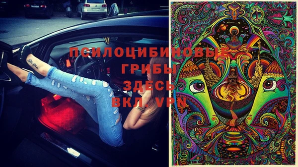 шишки Абинск