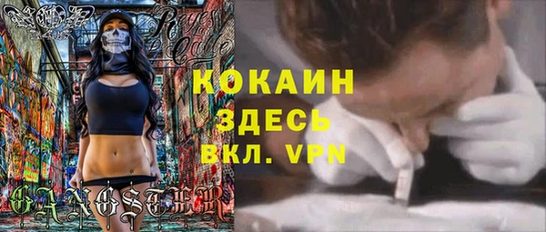 ГАЛЛЮЦИНОГЕННЫЕ ГРИБЫ Абаза