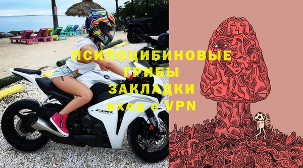 ПСИЛОЦИБИНОВЫЕ ГРИБЫ Абдулино