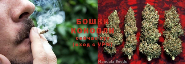 ГАЛЛЮЦИНОГЕННЫЕ ГРИБЫ Алзамай