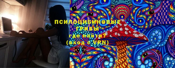 шишки Абинск