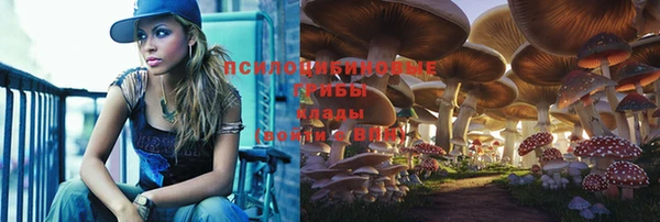 шишки Абинск