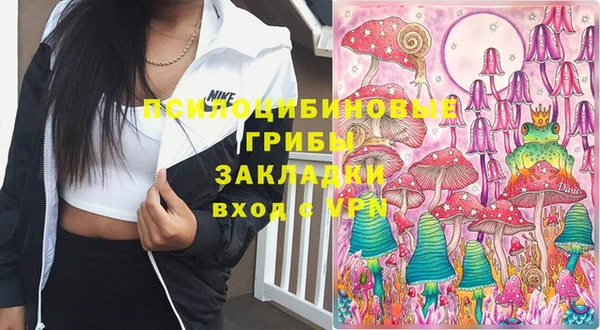 ПСИЛОЦИБИНОВЫЕ ГРИБЫ Абдулино
