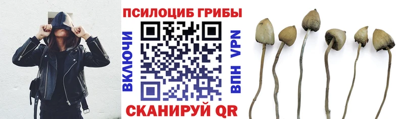 Галлюциногенные грибы Cubensis  что такое   Хадыженск 